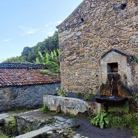 Faial da Terra Aldeia Do Sanguinho酒店 外观 照片
