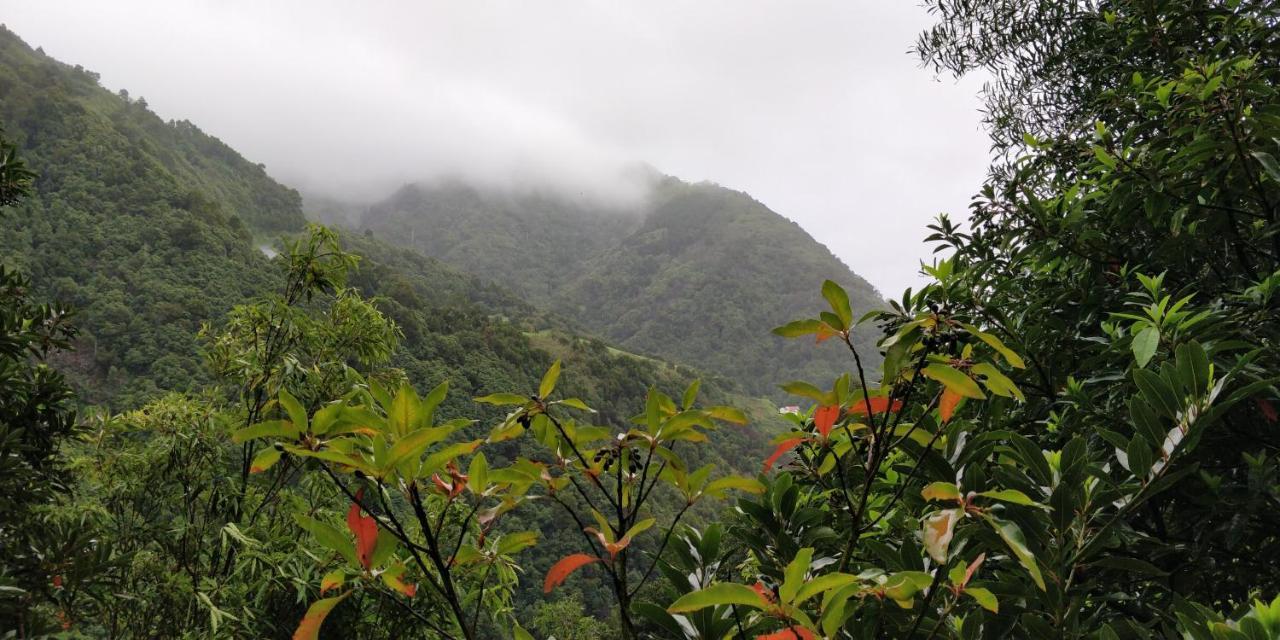 Faial da Terra Aldeia Do Sanguinho酒店 外观 照片