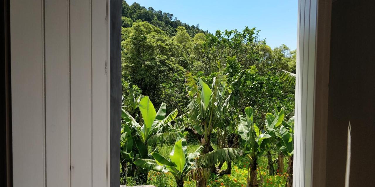 Faial da Terra Aldeia Do Sanguinho酒店 外观 照片